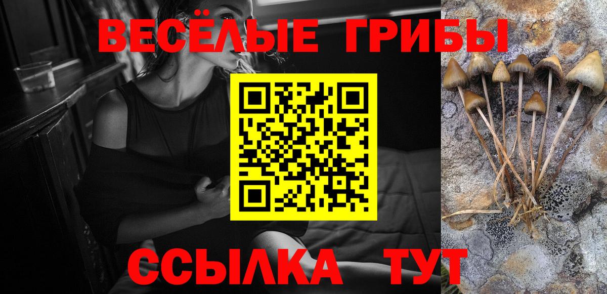 Псилоцибиновые грибы прущие грибы  Вход с VPN  Архангельск 
