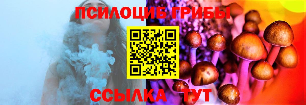 Галлюциногенные грибы Magic Shrooms Архангельск