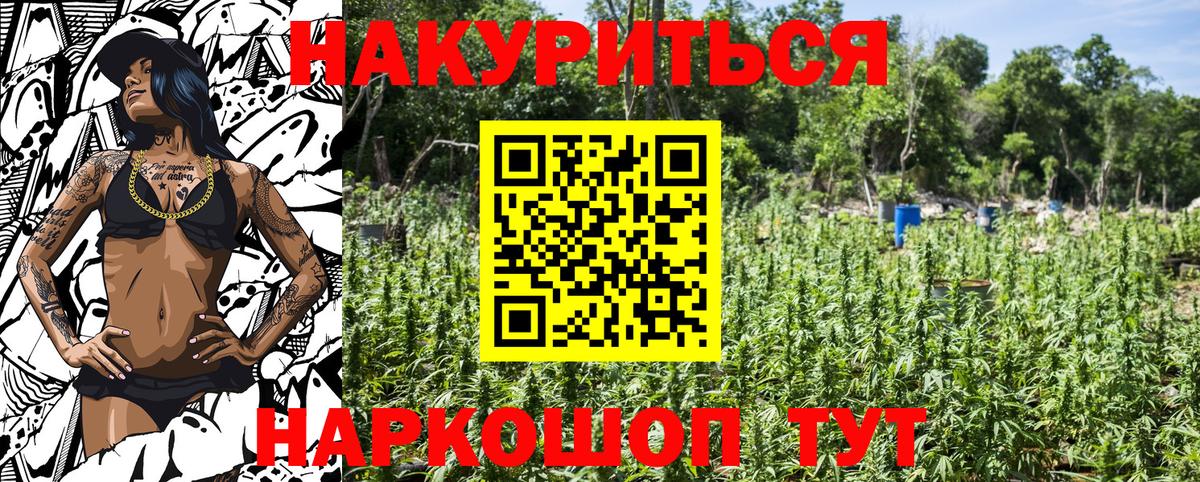 Архангельск  Конопля план  Вход с VPN  Марихуана конопля 